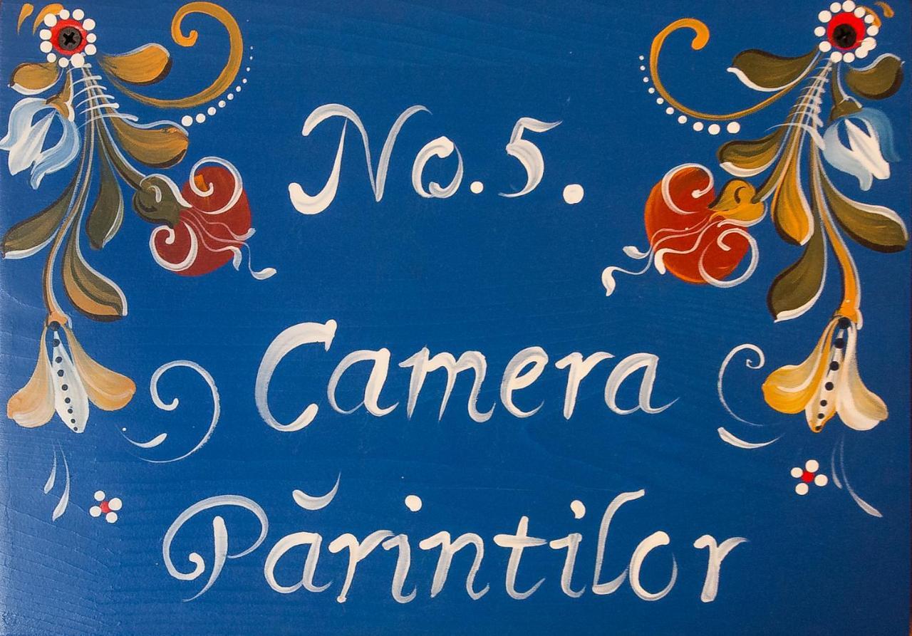 Pension Cartref Saschiz 객실 사진